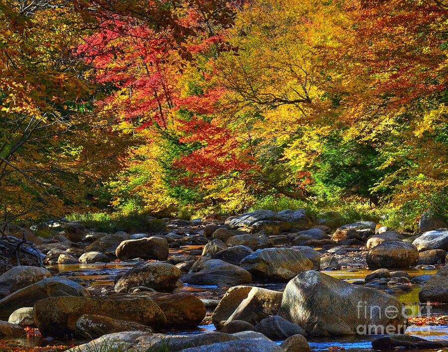 October in New Hampshire Photograph by Steve Brown