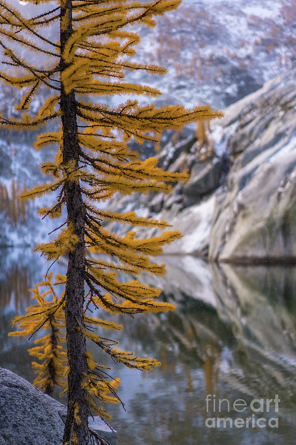 October in the Enchantments Photograph by Mike Reid