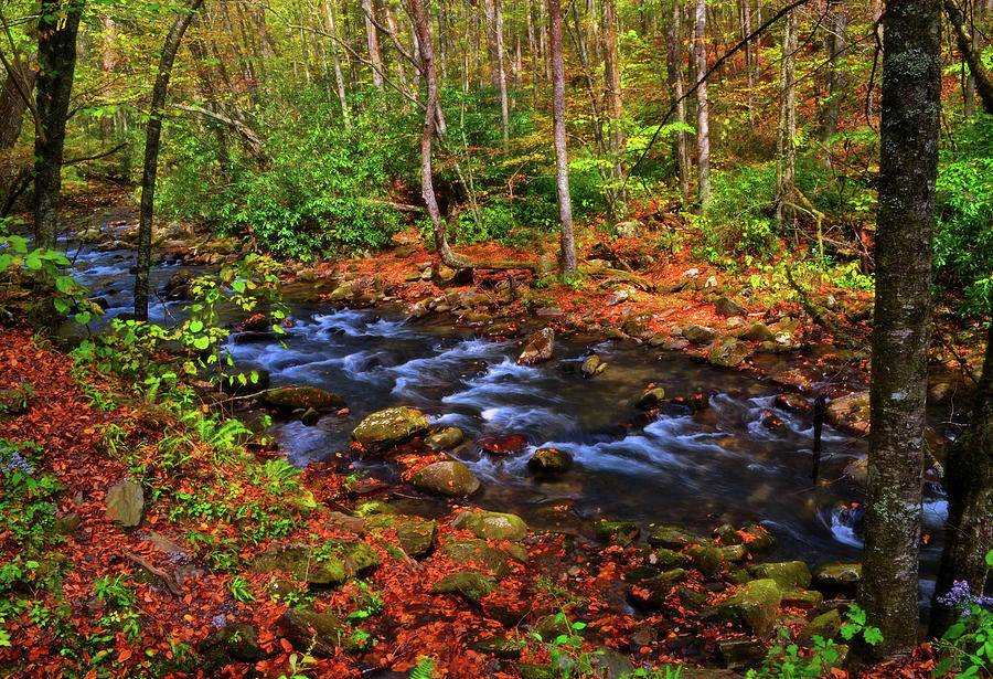 October In The Smoky Mountains 010 Photograph by George Bostian