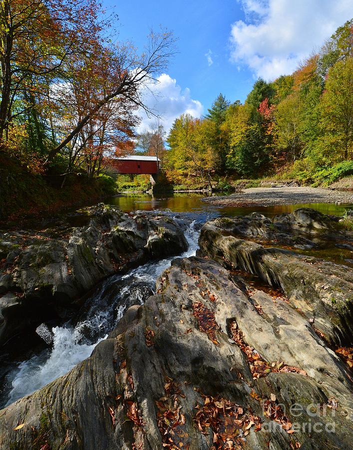 October in Vermont Photograph by Steve Brown