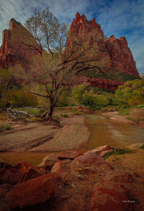 Zion National Park Photograph - October in Zion by Tim Bryan