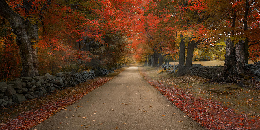 October Lane Photograph by Robin-Lee Vieira