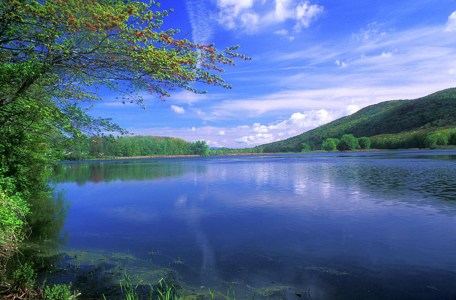 October Mountain State Forest Photograph by John Burk | Fine Art America