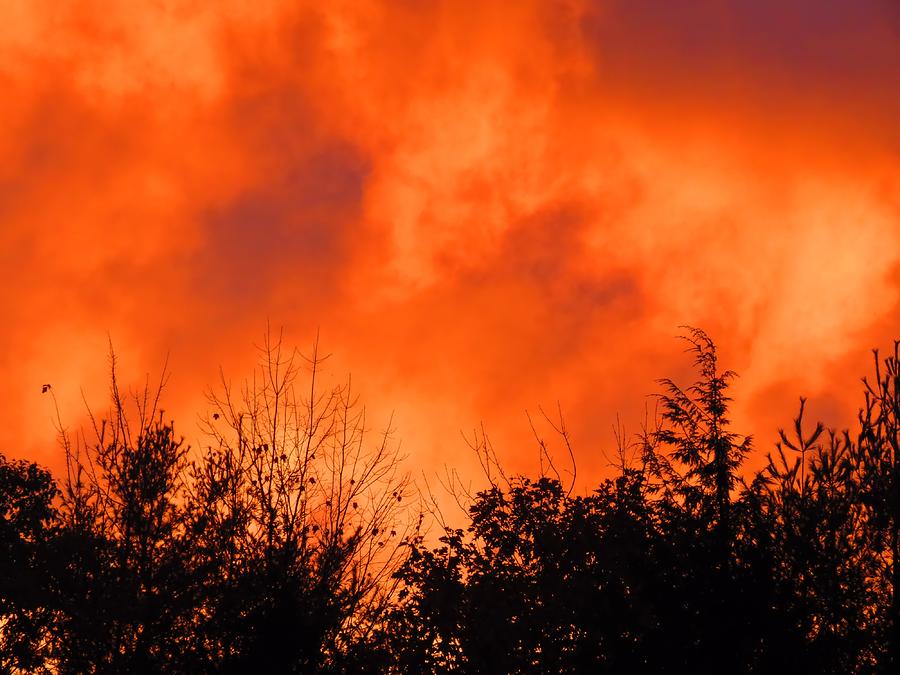 October Orange - Sunset Photograph by MTBobbins Photography