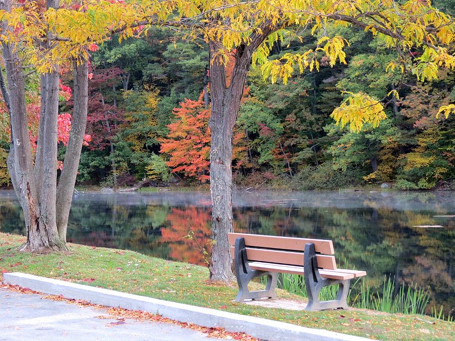 October Park Bench Photograph by MTBobbins Photography