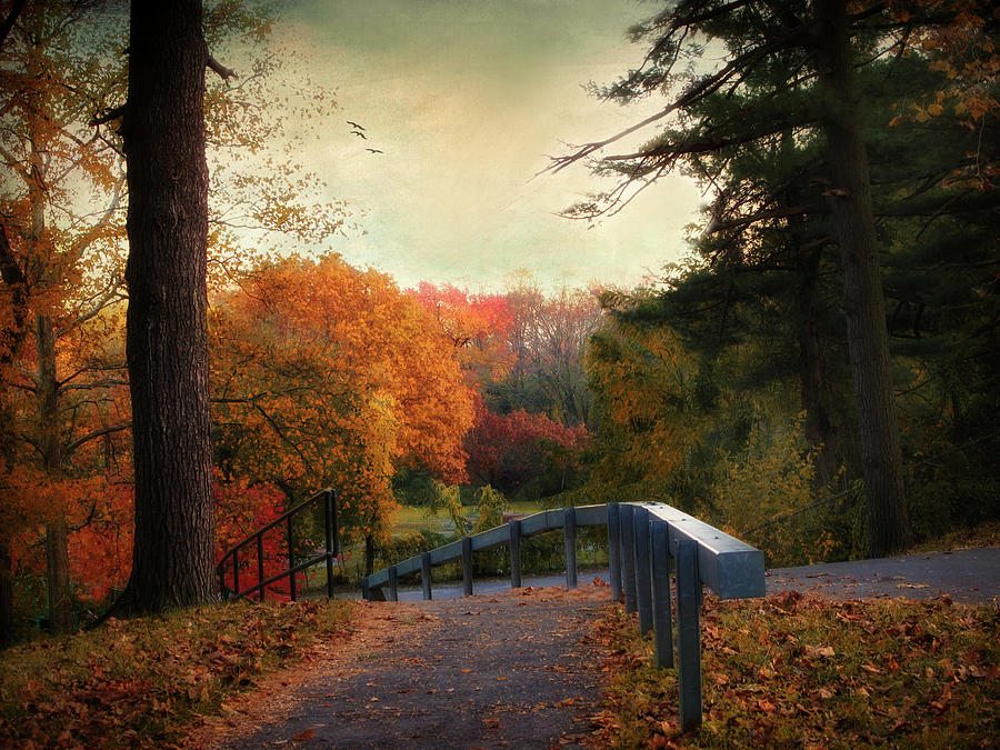 October Path Photograph by Jessica Jenney