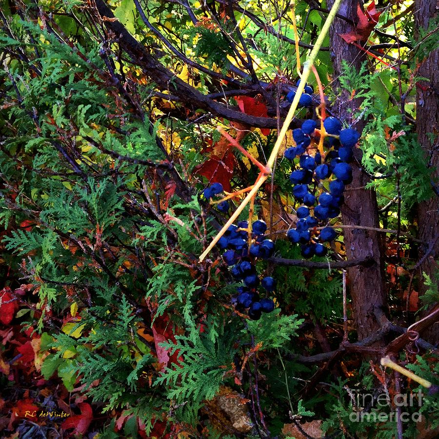 October Potpourri Painting by RC DeWinter