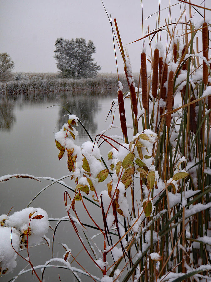 October Snow Photograph by James Peterson