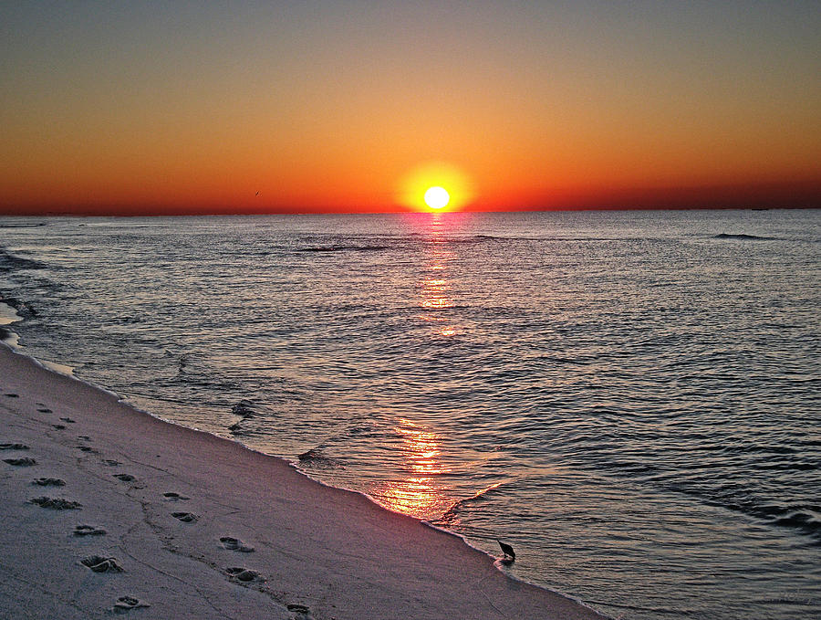 October Sunrise Photograph by Larry Roby