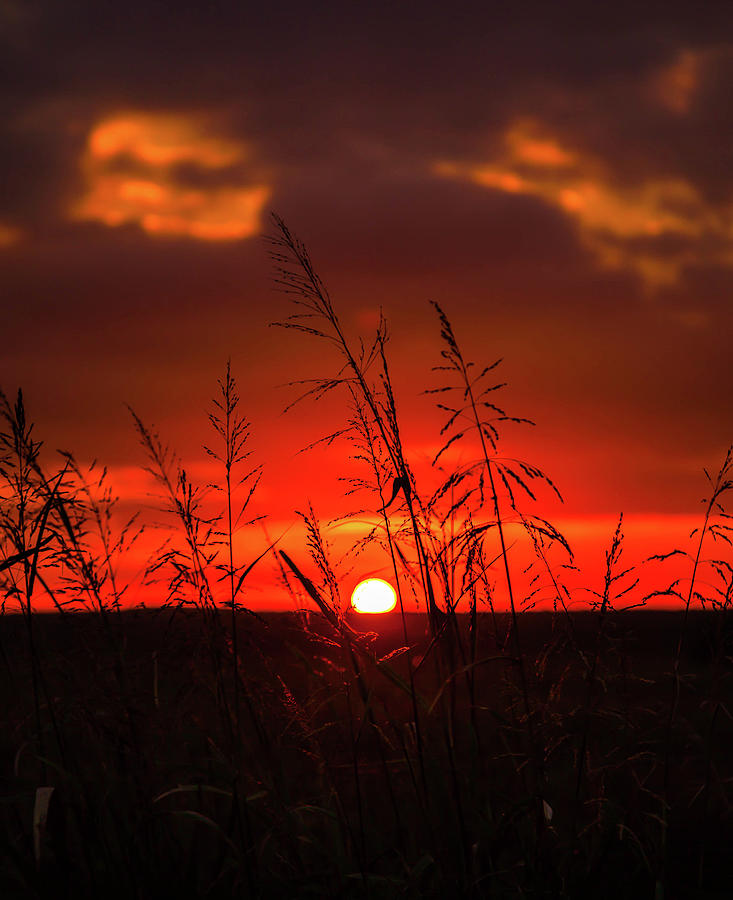 October Sunrise Photograph by Mark Short