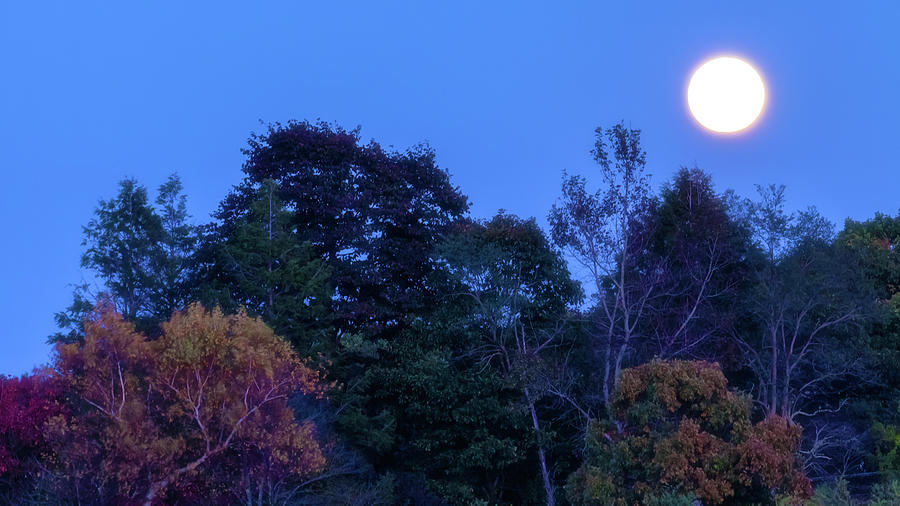 October Super Moon Photograph by Jonathan Nguyen