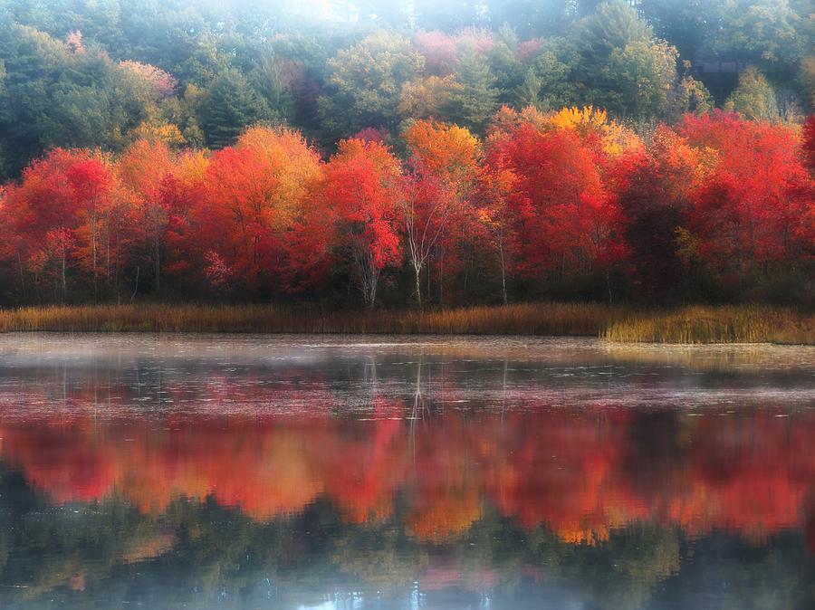 October Trees - Autumn  Photograph by MTBobbins Photography
