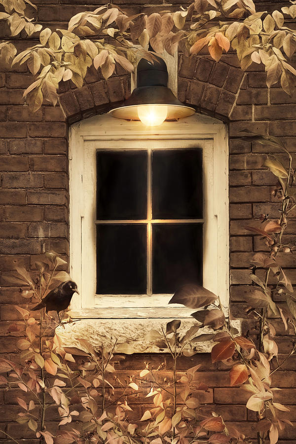 October Window Photograph by Robin-Lee Vieira
