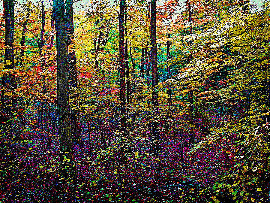 Fall Painting - October Woods by Michael Gross