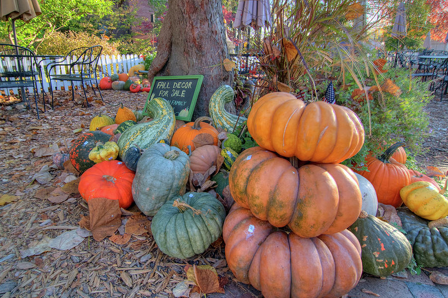 Octoberfest Photograph by Steve Stuller