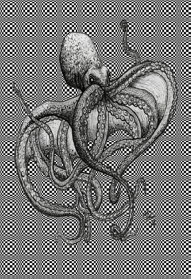 Octopus and Checkboards Drawing by Jennifer Creech
