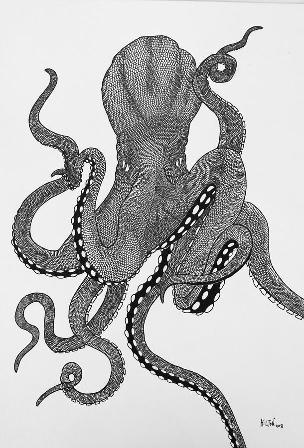 octopus drawing black and white