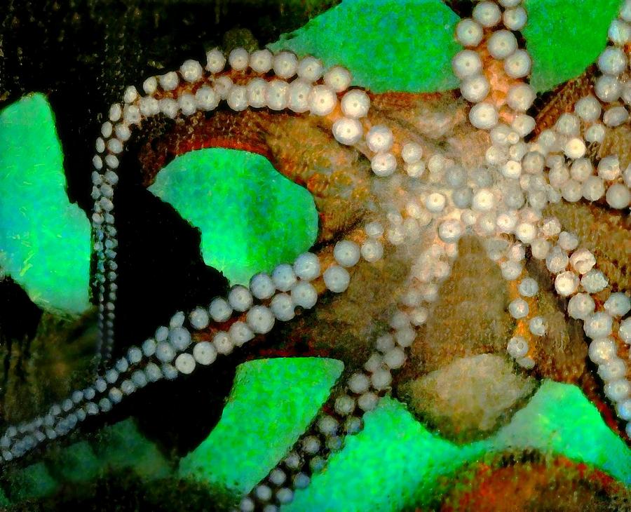 Octopus Photograph by Diana Angstadt