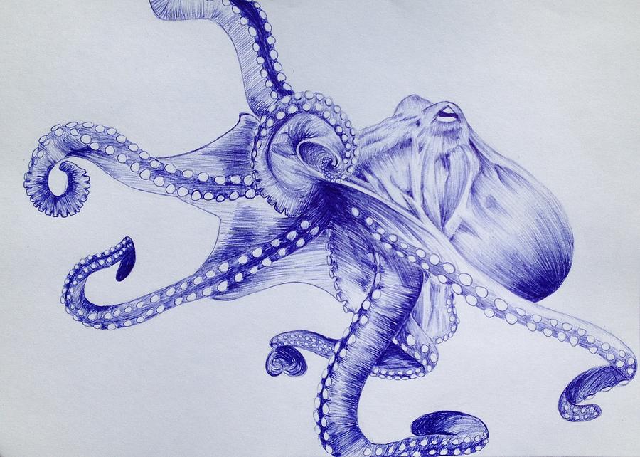 Octopus Cartoon Drawing + Process Video | EryckWebbGraphics