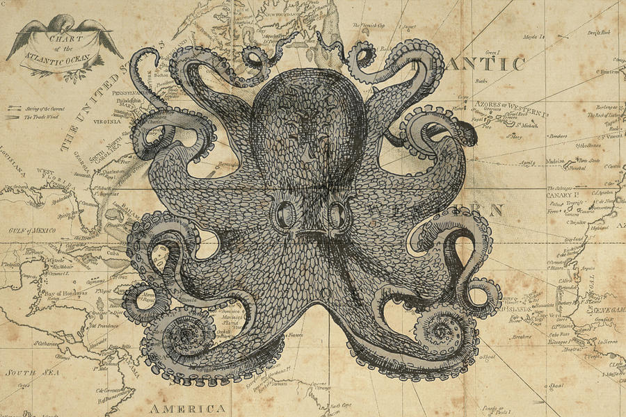 Octopus Sea Chart Digital Art by Erin Cadigan