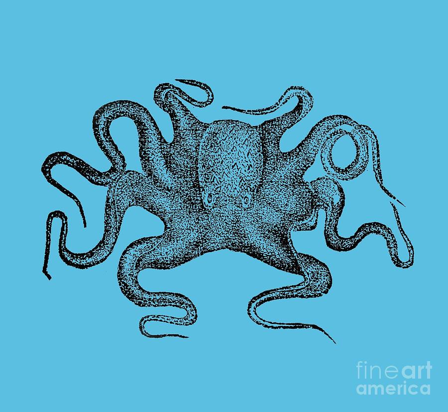 Octopus T-shirt Digital Art by Edward Fielding