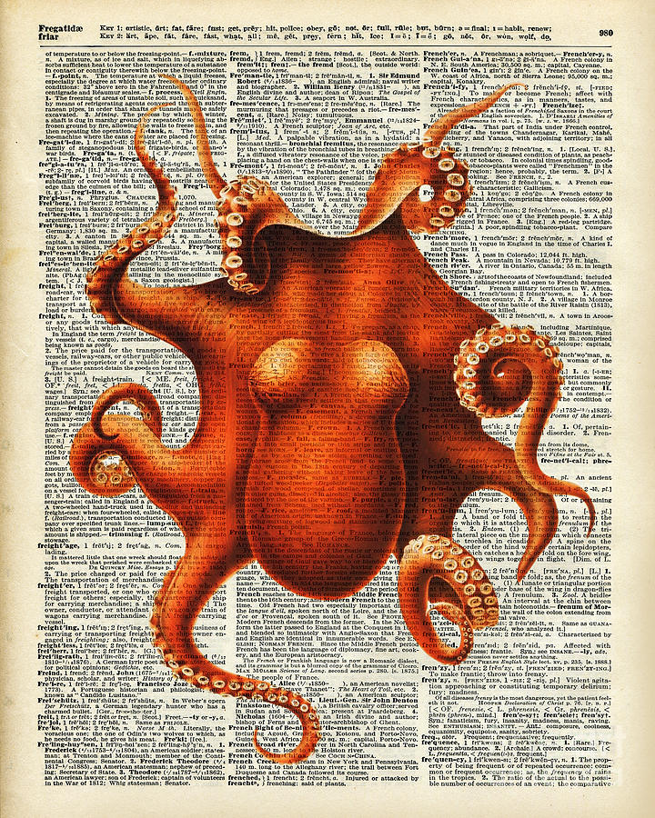 Octopus Mixed Media - Octopus vintage illustration on a book page by Anna W