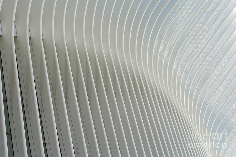 Oculus Exterior Detail I Photograph by Clarence Holmes