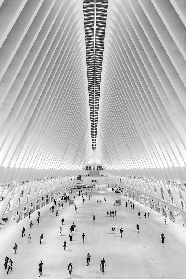 Black And White Photograph - Oculus New York City  by John McGraw