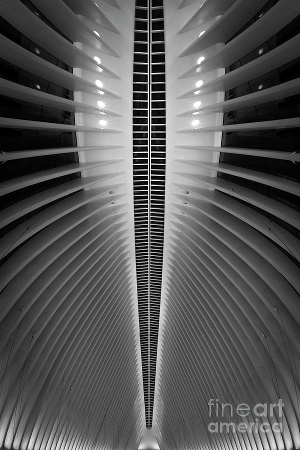 Oculus Spine  Photograph by Michael Ver Sprill