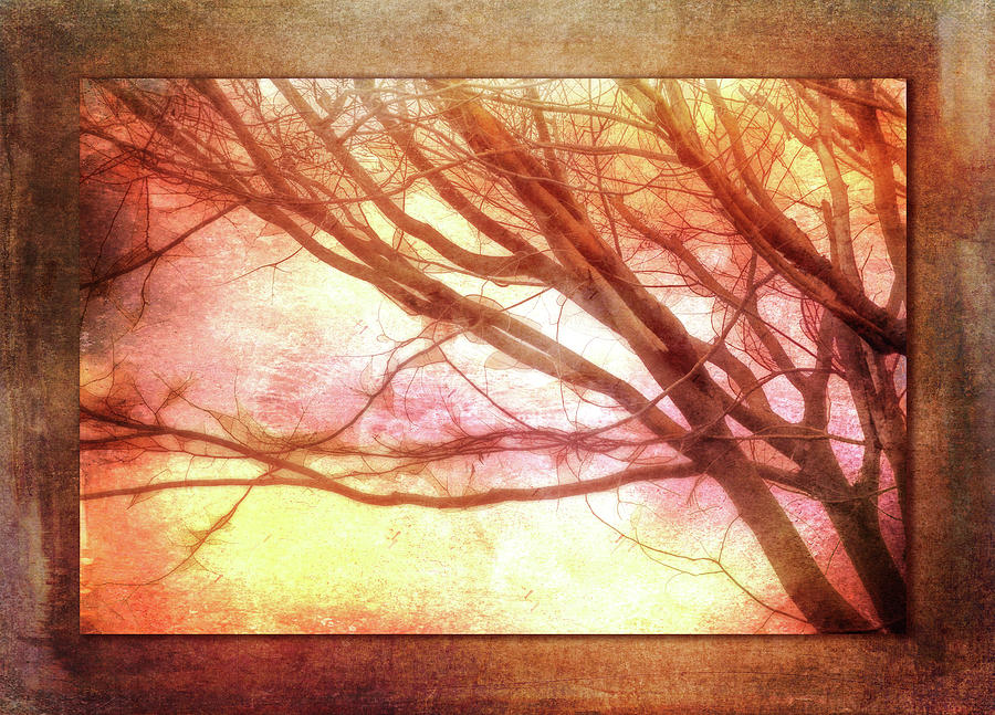 Ode to Autumn Digital Art by Terry Davis