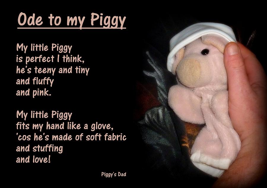 Ode To My Piggy Photograph by Piggy           
