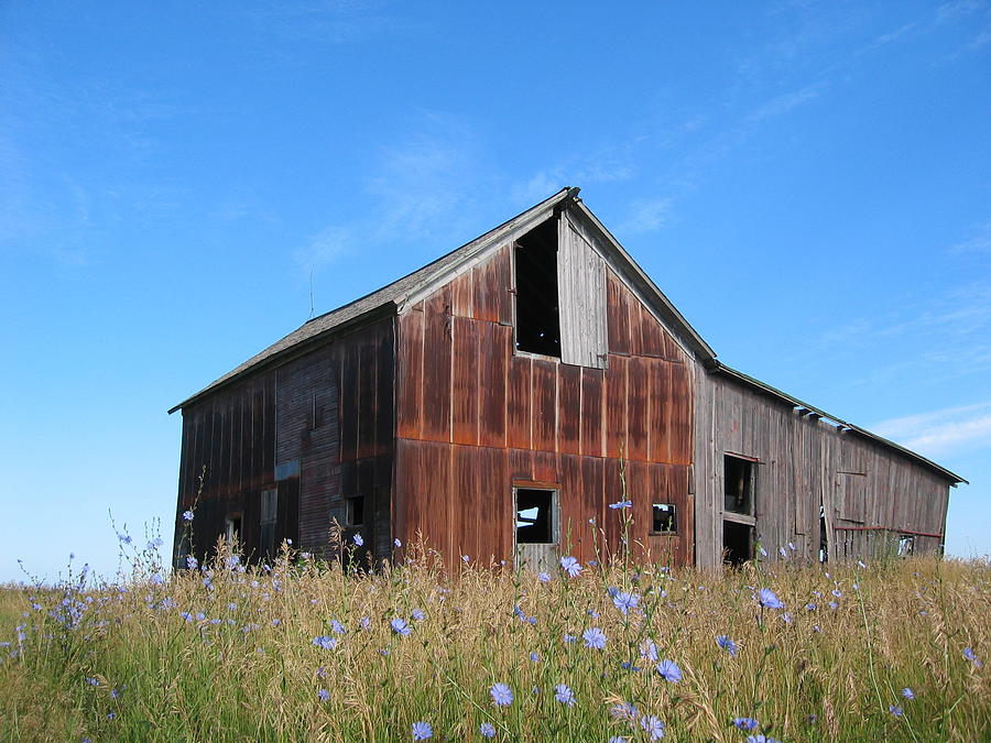 Unique Photograph - Odell Barn I by Dylan Punke