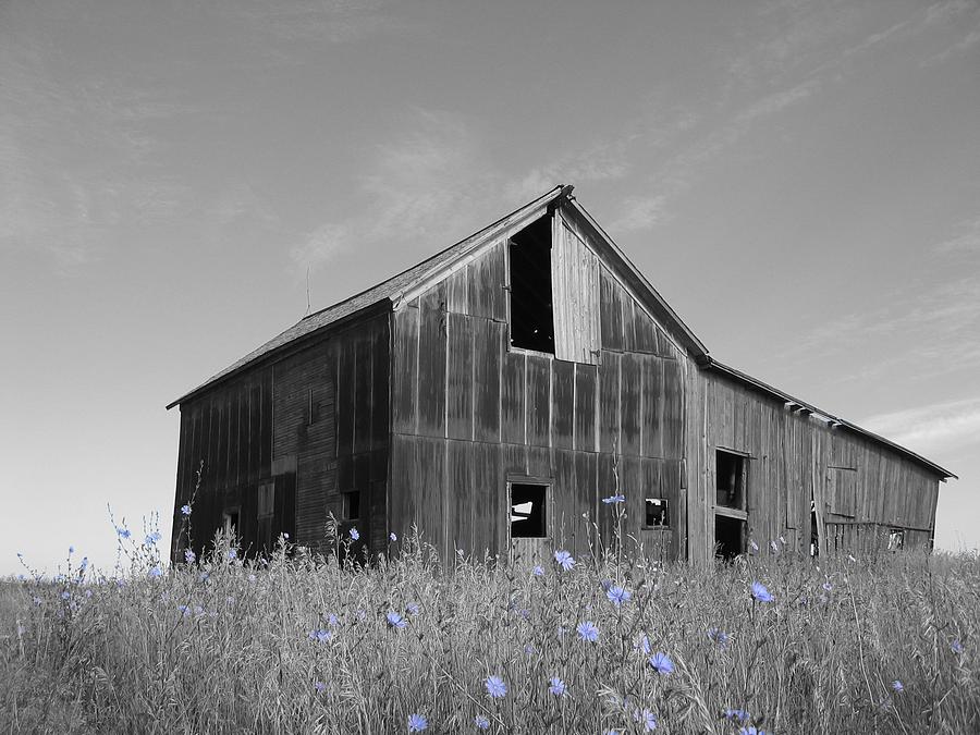 Odell Barn III Photograph by Dylan Punke