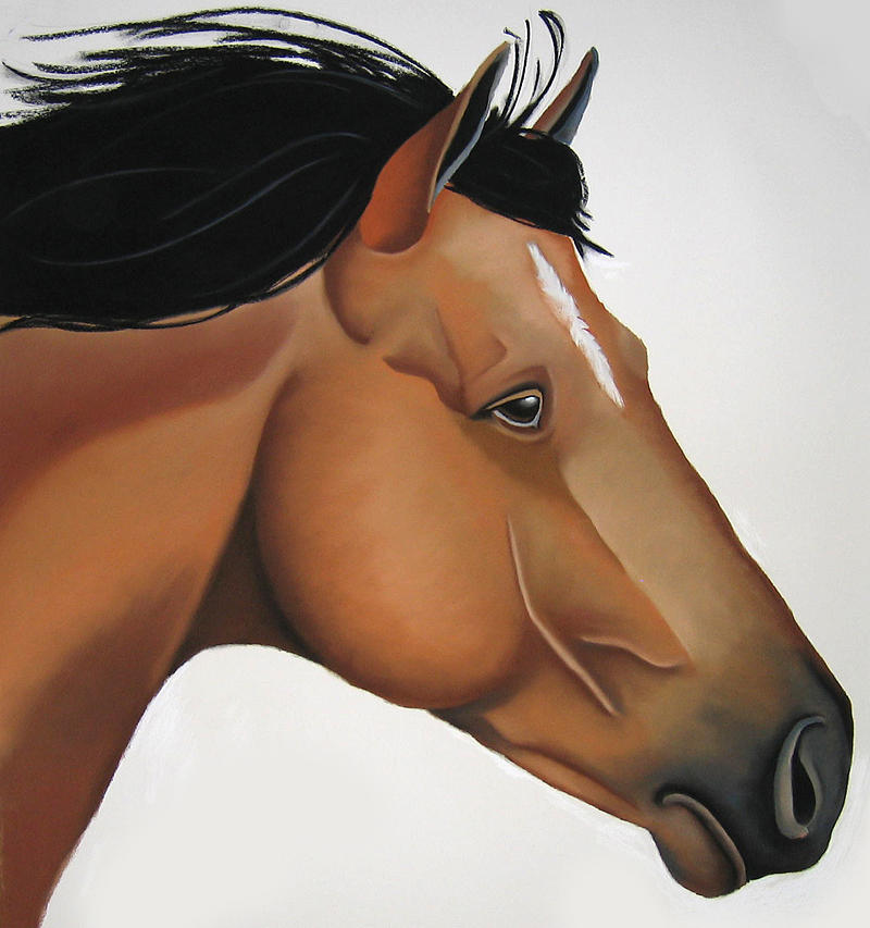 Horse Painting - Odysseus by Brenda Wolf