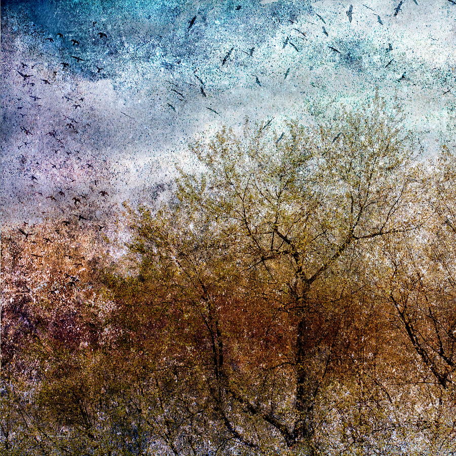 Abstract Photograph - Of Birds and Trees  by Bob Orsillo