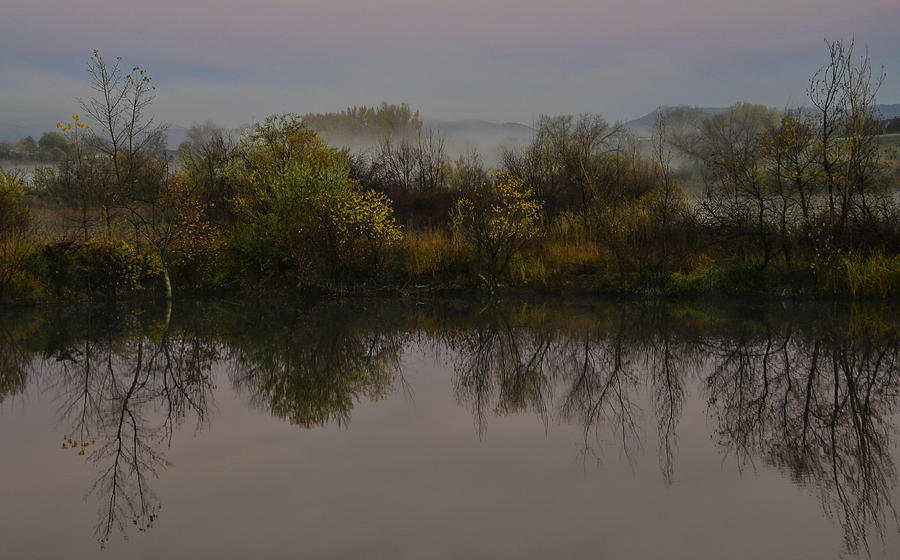 Of Fall and Mists Photograph by Rae Ann  M Garrett