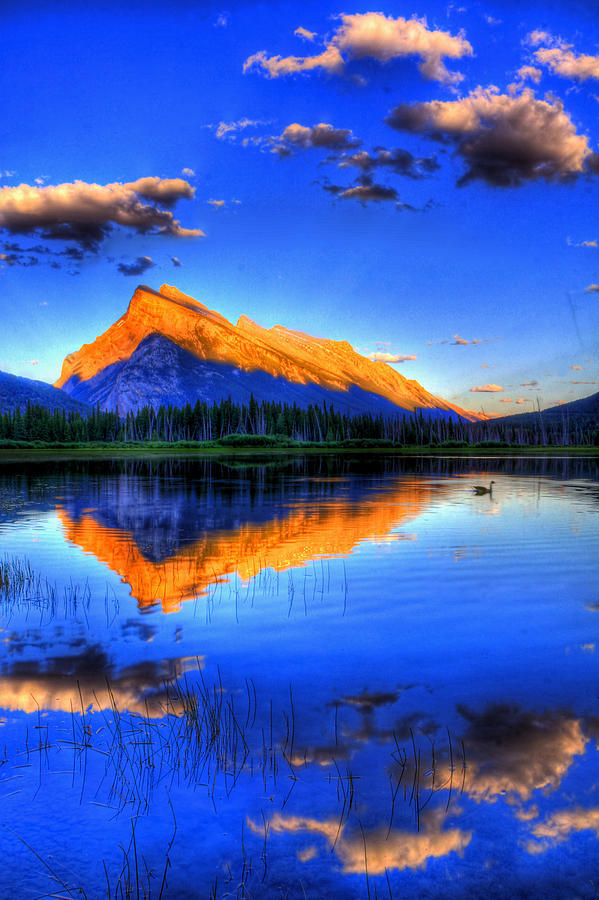 Banff National Park Photograph - Of Geese and Gods by Scott Mahon