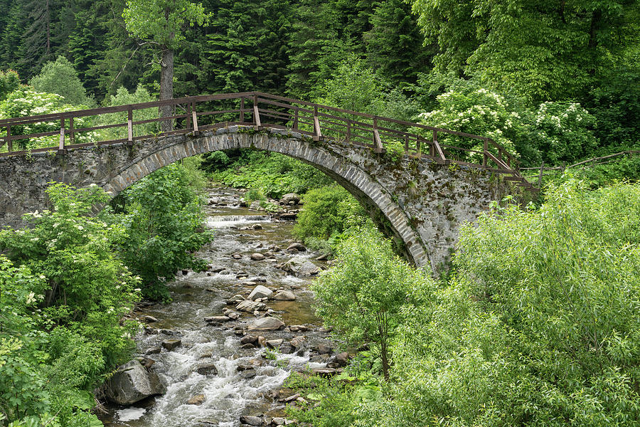 Of Mountain Creeks and Olden Bridges Photograph by Georgia Mizuleva