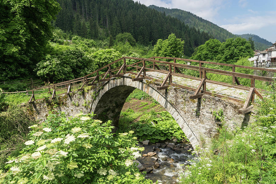 Of Mountain Streams and Olden Bridges Photograph by Georgia Mizuleva