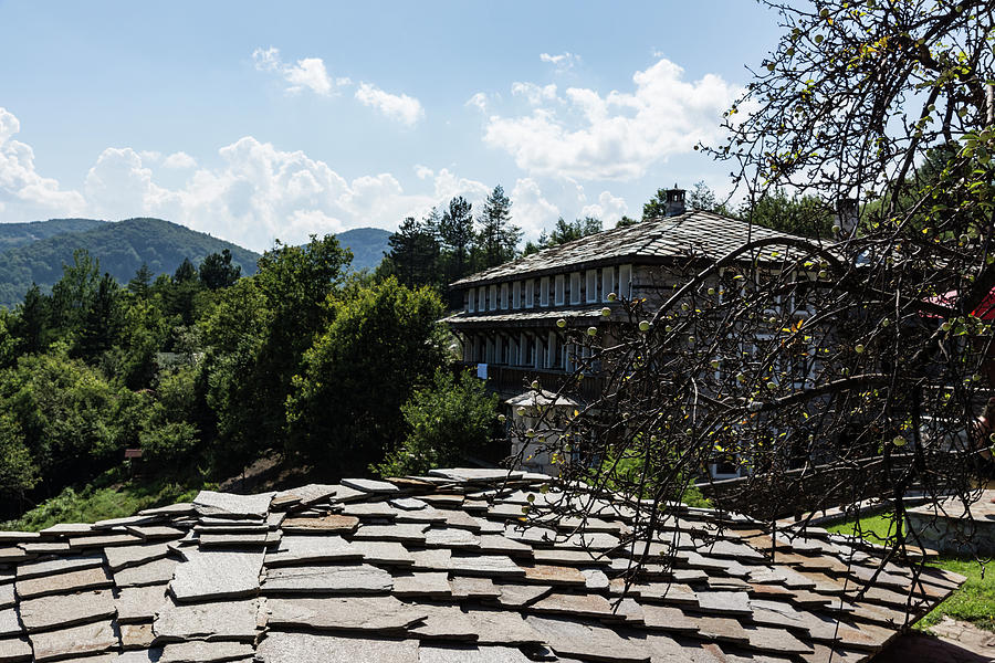 Architecture Photograph - Of Slate Roofs and Gnarled Apple Trees by Georgia Mizuleva