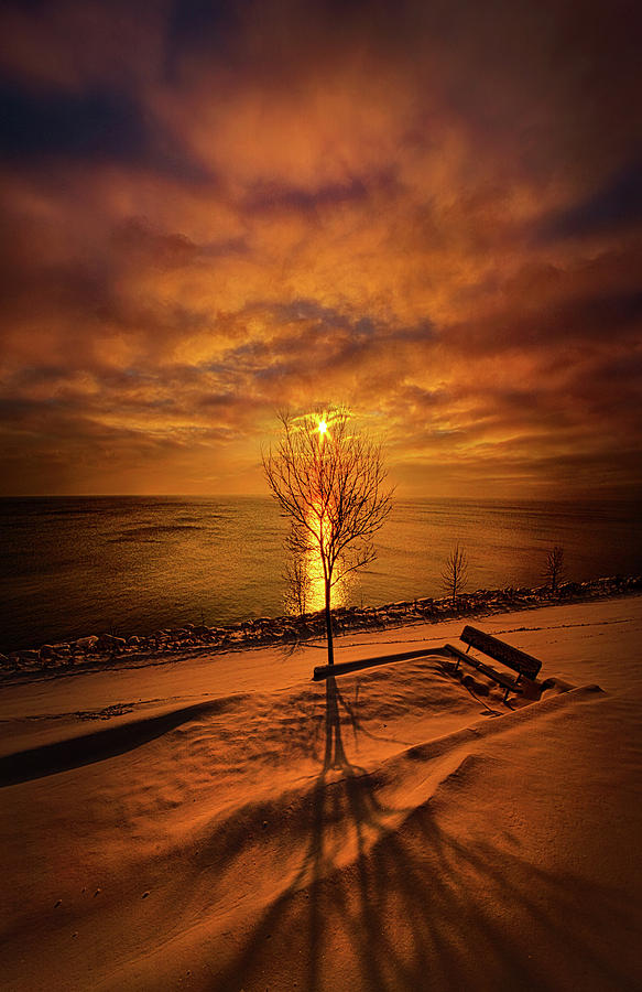 Of Where We Thought We Were Photograph by Phil Koch