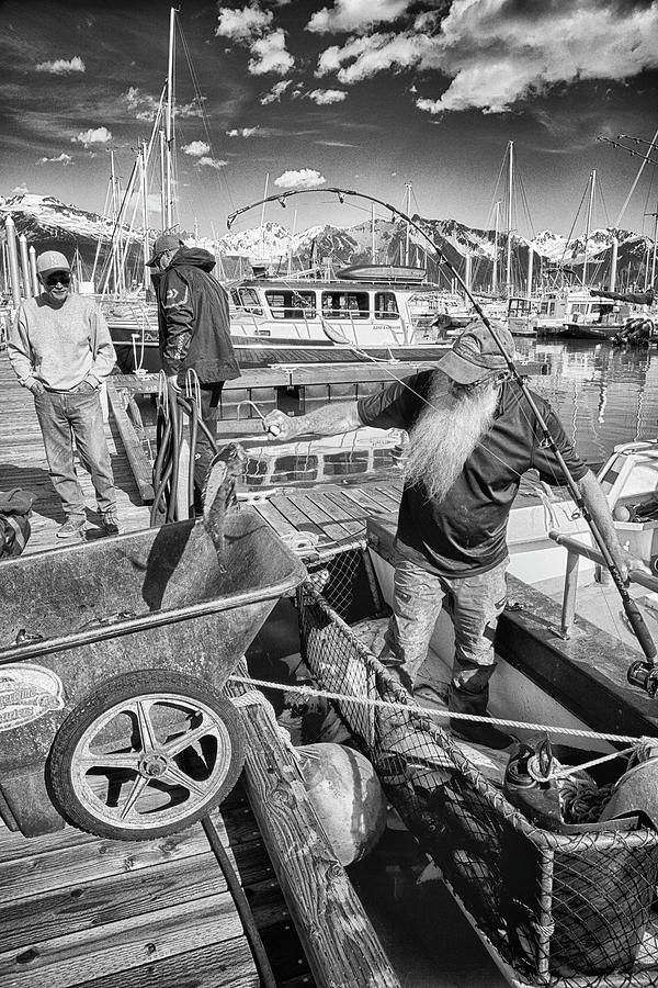 Fish Photograph - Off Loading Rock Fish by Hugh Smith