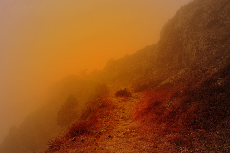 Off the beaten path #2 Photograph by Salman Ravish