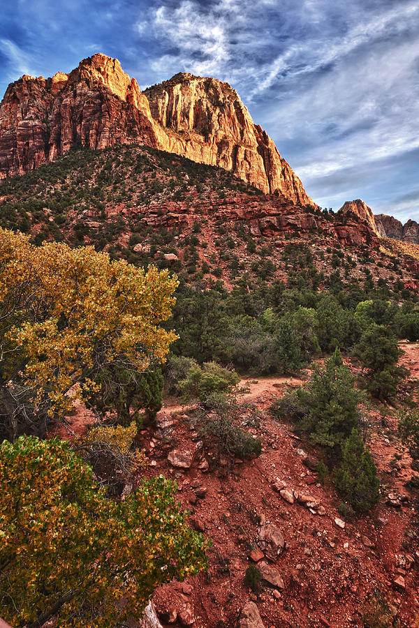 Zion National Park Photograph - Off The Beaten Path by James Marvin Phelps