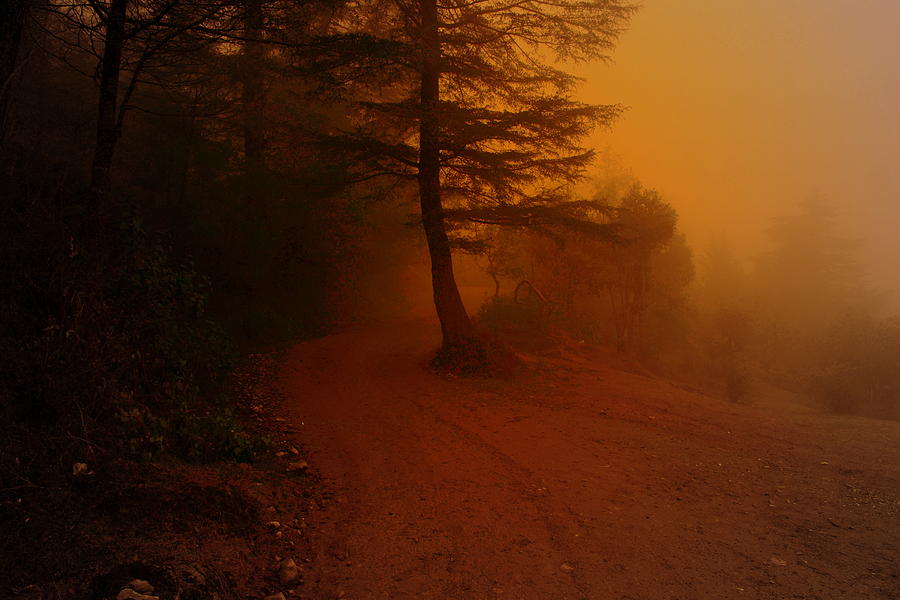 Off the beaten path Photograph by Salman Ravish