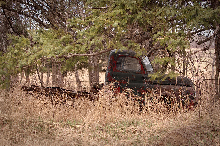 Off The Beaten Trail Photograph By Creations By Shaunna Lynn - Fine Art ...