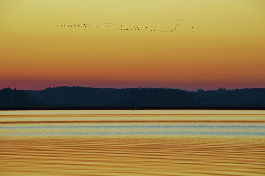 The geese fly south. You know Summer is ending and Autumn is upon us when the birds fly South Photograph by Billy Beck