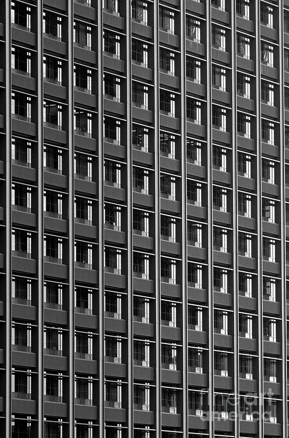 Office Building Windows Photograph by Jim Corwin