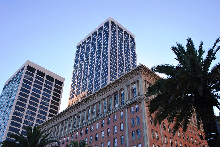 City Photograph - Office Buildings and Palm Tree - San Francisco by Matt Quest