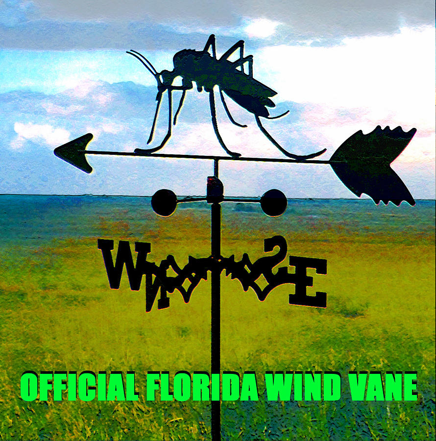 Official Florida wind vane Digital Art by David Lee Thompson